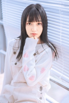 决战燕子门下载
